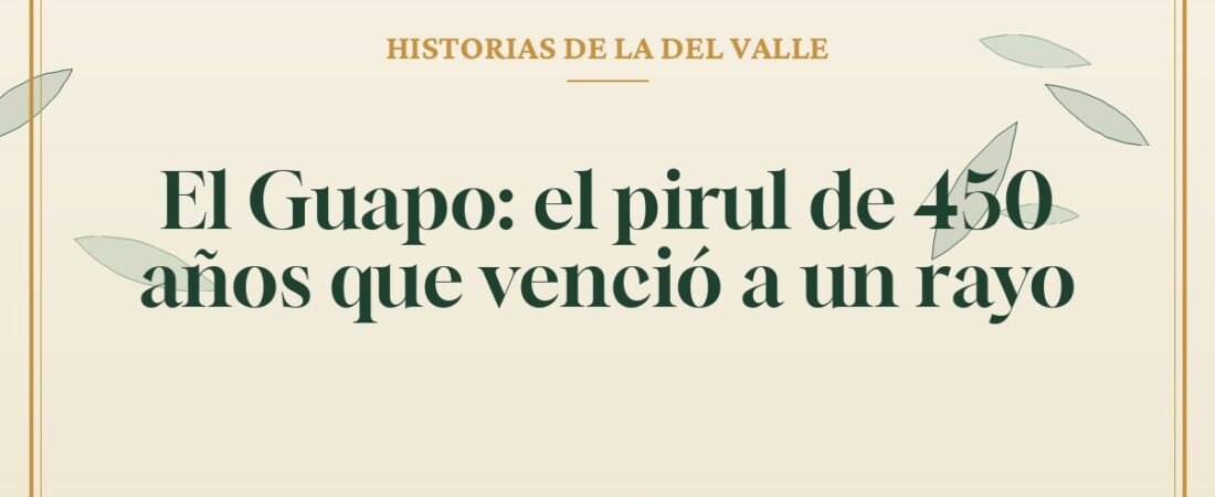 El Guapo: el pirul de 450 años que venció a un rayo