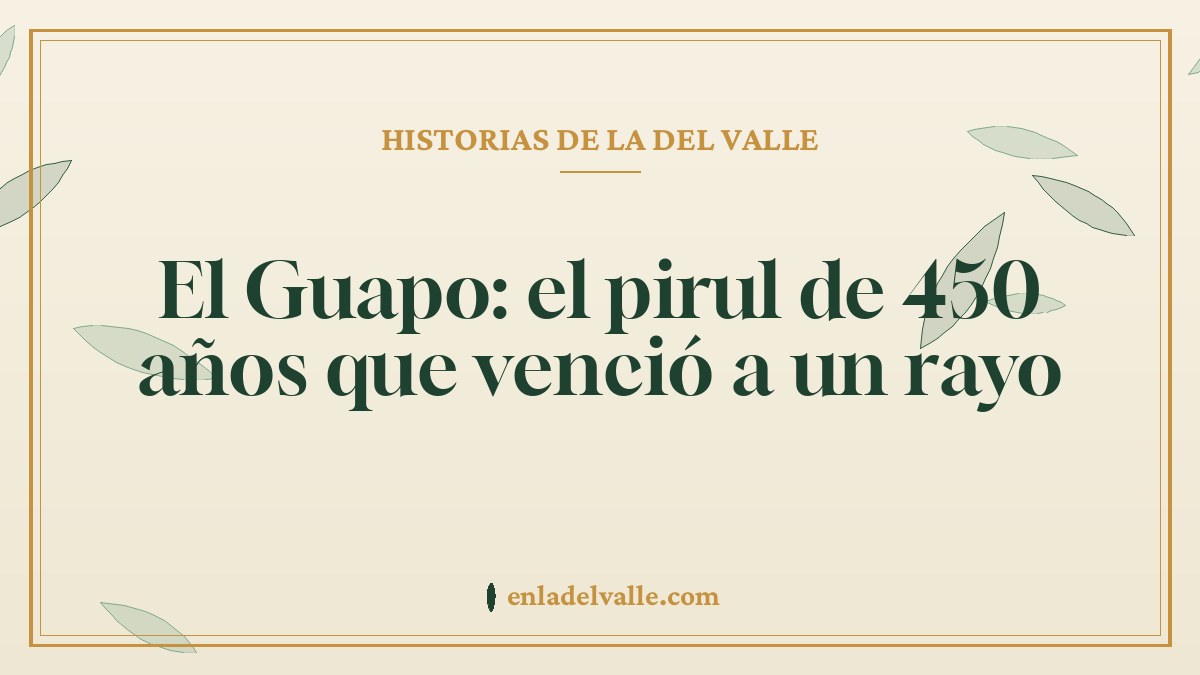 El Guapo: el pirul de 450 años que venció a un rayo
