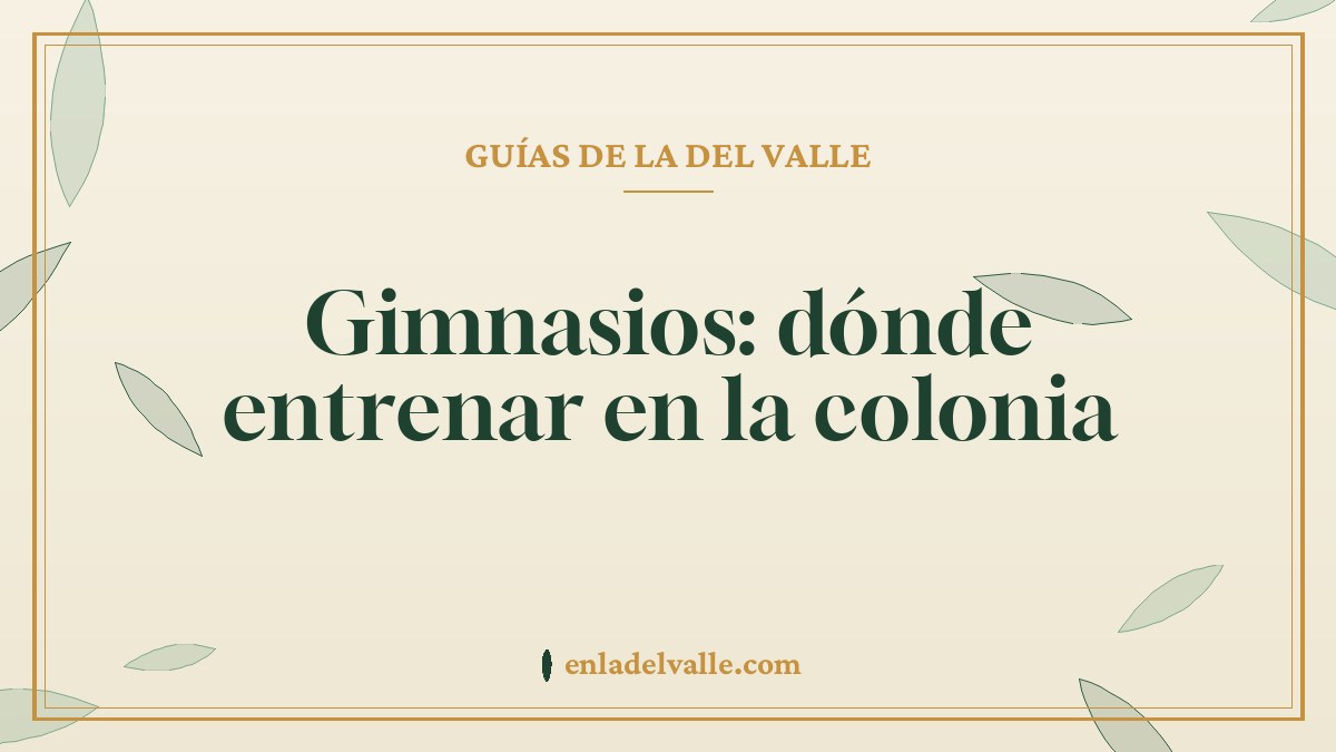 Gimnasios: dónde entrenar en la colonia